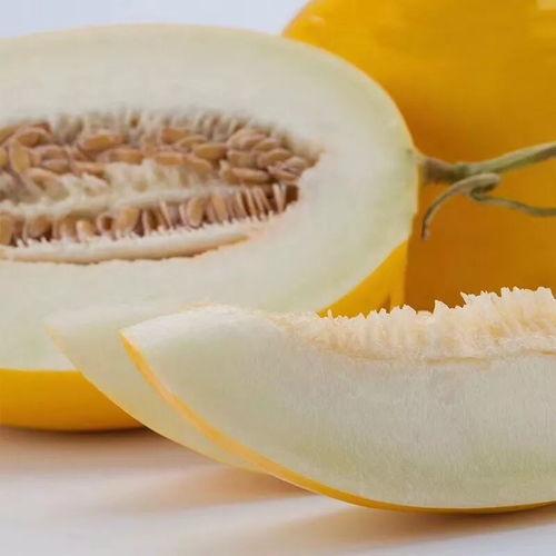 吃蜜瓜后头晕,揭秘吃蜜瓜后头晕之谜