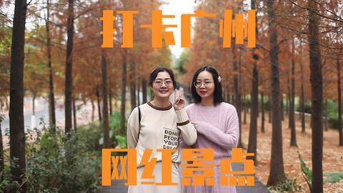 抖音快手网红相声,笑点连连，欢乐无限