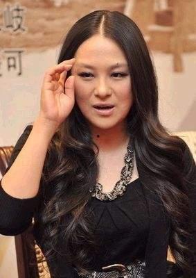 明星沈傲君系列,璀璨星途，魅力绽放