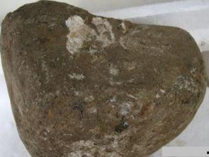 褶皱怎么看皮料好坏,揭秘皮料品质的奥秘