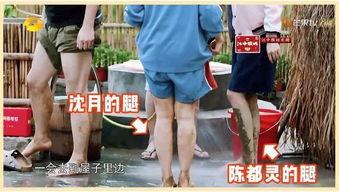 明星标准身材,揭秘完美比例与塑形秘诀