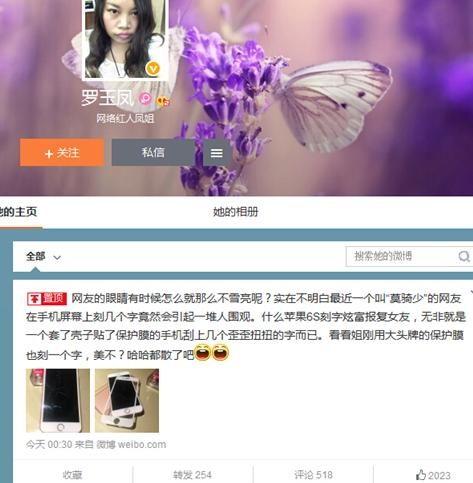 网红有莫字的,揭秘网络红人的魅力与影响力