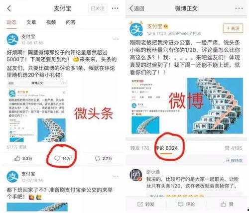 今日头条粉丝活跃数,热门账号背后的粉丝力量！”