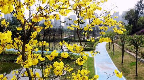 珠海网红风景图片大全,绝美画卷尽收眼底